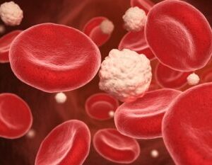 Microscopic view of healthy red and white blood cells representing the detoxifying and immune-boosting benefits of Howganics Glutathione Shot